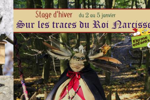 Troll Narcisse avec vignette stage + images cône rongé, plume, empreintes écureuil, nichoir, crottes hérisson