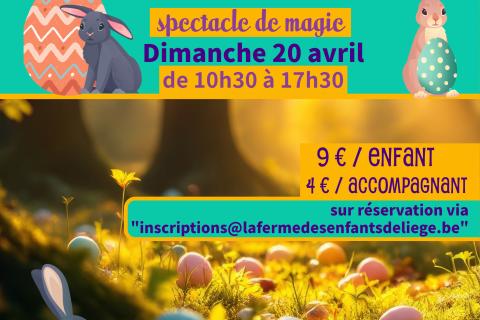 affiche