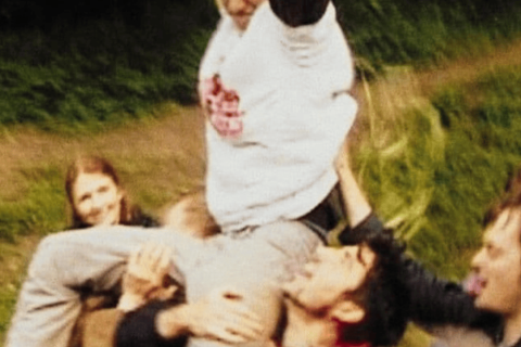 Vignette les idiots