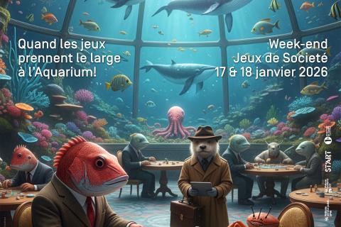Affiche Marée Ludique : Quand les jeux prennent le large à l'Aquarium