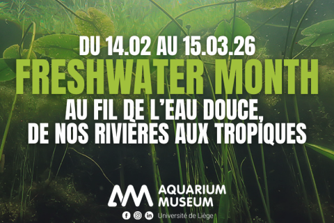 Freshwater month