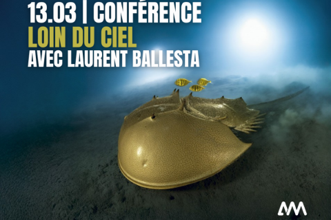 Loin du Ciel, conf&eacute;rence avec Laurent Ballesta