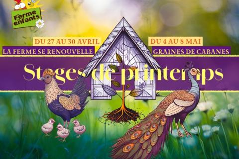 Stages de printemps