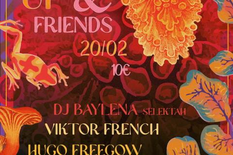 Rebel up casa nicaragua liege hugo freegow viktor french dj baylena