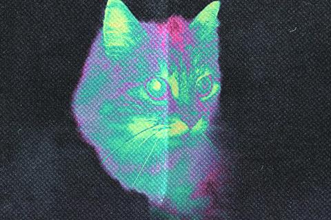 Richarichar Realse Party