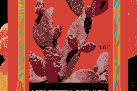 Global bass ritual casa nicaragua rafael aragon monstera occulta da iguana eugene kahlo