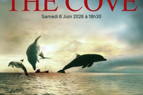 The Cove | La baie de la honte