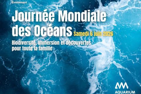 Journ&eacute;e Mondiale des Oc&eacute;ans 2026