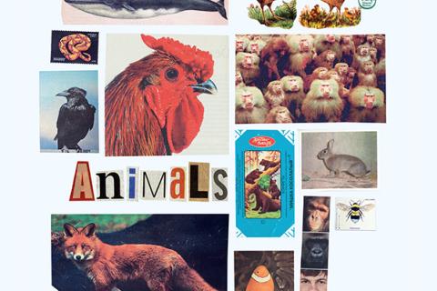 ANIMALS
