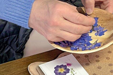 Atelier Herbier Floral