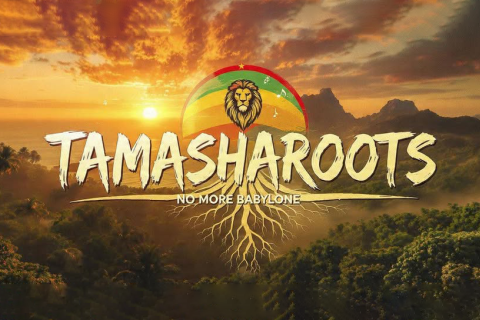 Tamashroots Vignette