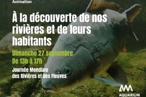 &Agrave; la d&eacute;couverte de nos rivi&egrave;res et de leurs habitants