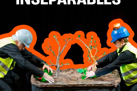 Ins&eacute;parables