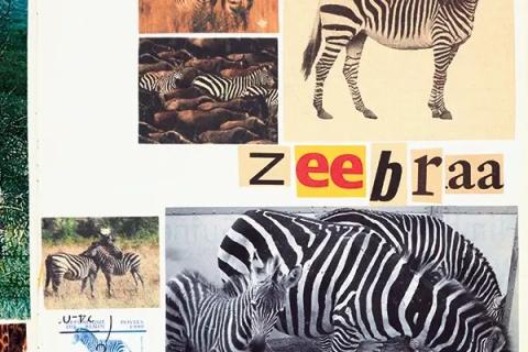 Bienvenue &agrave; la m&eacute;nagerie - 6 &agrave; 10 ans