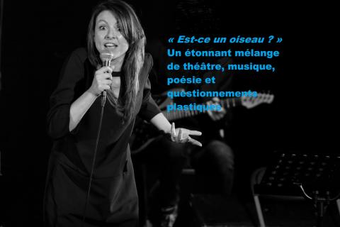 &laquo; Est-ce un oiseau ? &raquo; Performance pluridisciplinaire